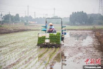 科研成果“落地”江苏一高校“智囊团”助力农田精准管理